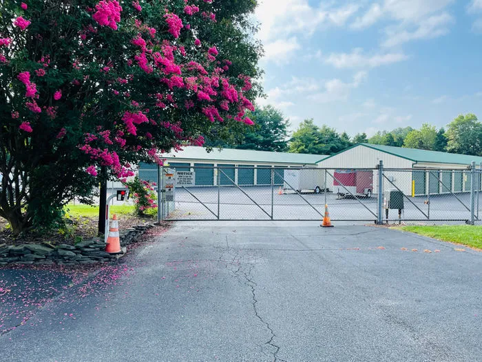 38c94c 82a5b63d4cb740d78887608681af6b73mv2